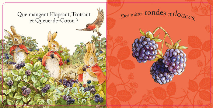 Le Monde de Pierre Lapin - Au jardin