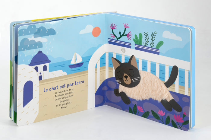 Le chat en comptines