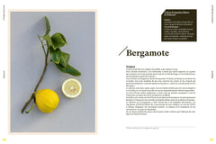 Le grand livre des agrumes