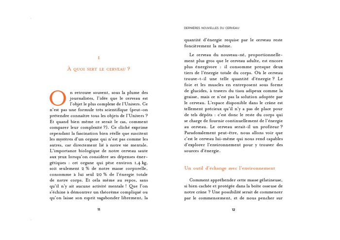 Dernières nouvelles du cerveau