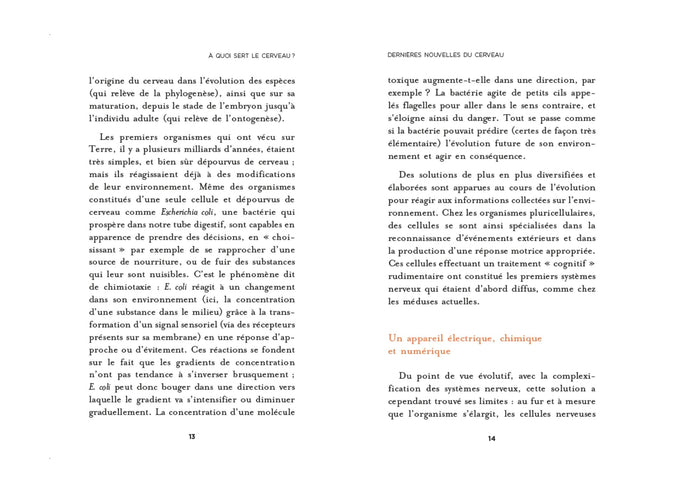 Dernières nouvelles du cerveau