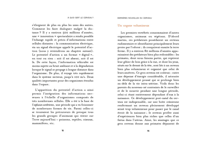 Dernières nouvelles du cerveau