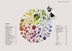 L'étonnant pouvoir des couleurs