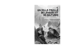 Brève histoire de l'Inde