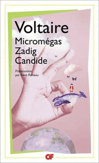 Micromégas