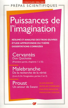 Les puissances de l'imagination