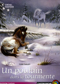 CHEVAL FANTOME - 5 - UN POULAIN DANS LA TOURMENTE