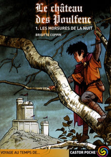 LE CHATEAU DES POULFENC T.1 LES MORSURES DE LA NUIT