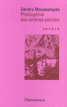 Photogénie des ombres peintes