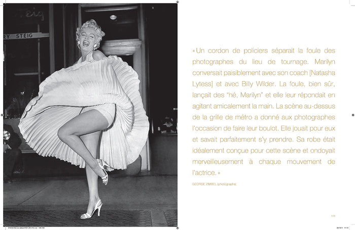 Marilyn monroe: métamorphoses