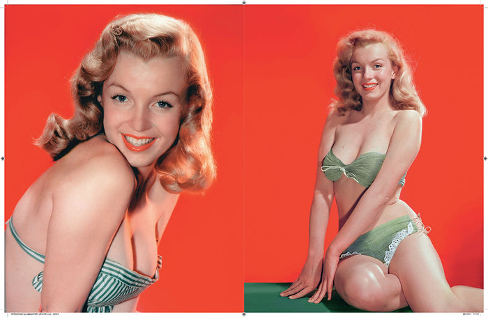 Marilyn monroe: métamorphoses