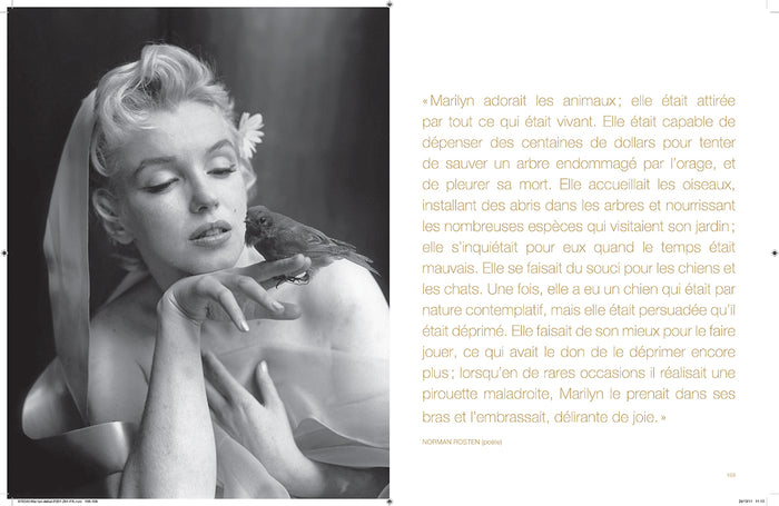 Marilyn monroe: métamorphoses
