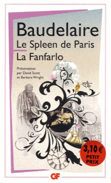 Le spleen de Paris