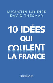 10 idées qui coulent la France