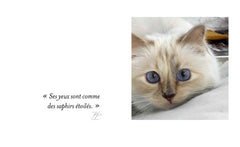 Choupette