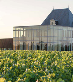 Wine by design