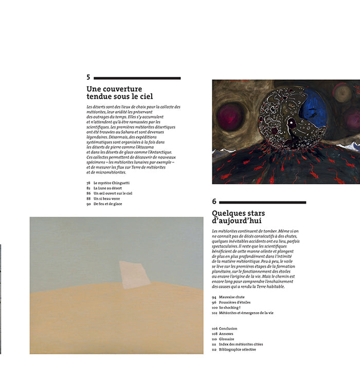 Une belle histoire des météorites