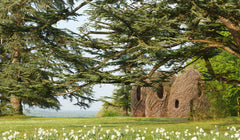 Art et nature à Chaumont-sur-Loire