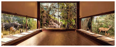 Dioramas