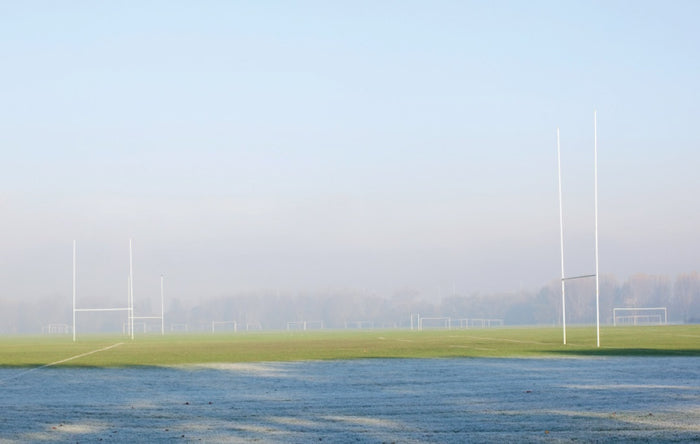 Dictionnaire amoureux du rugby