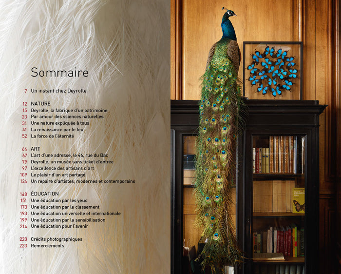 Un cabinet de curiosités parisien: Deyrolle