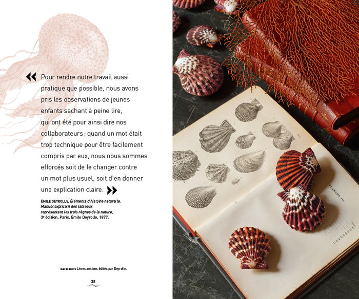 Un cabinet de curiosités parisien: Deyrolle