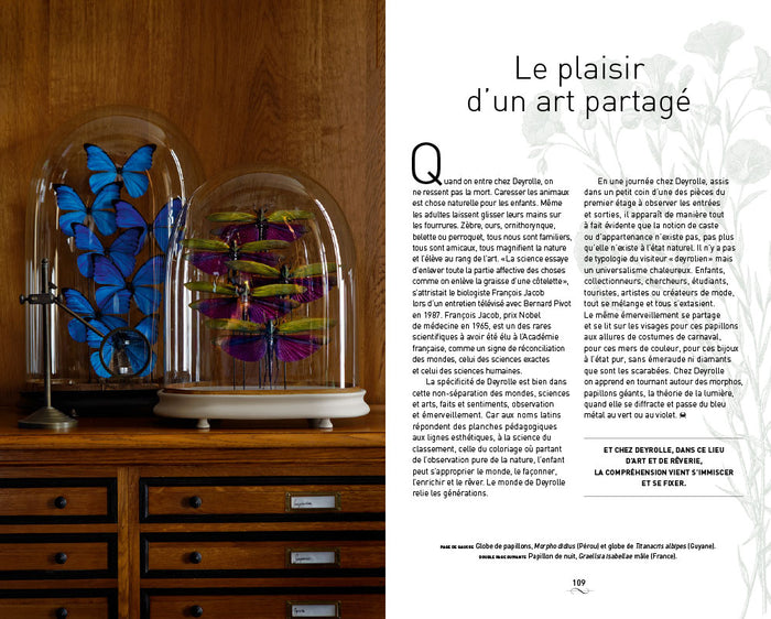 Un cabinet de curiosités parisien: Deyrolle