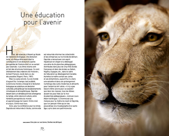 Un cabinet de curiosités parisien: Deyrolle