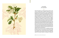 L'herbier de Marcel Proust