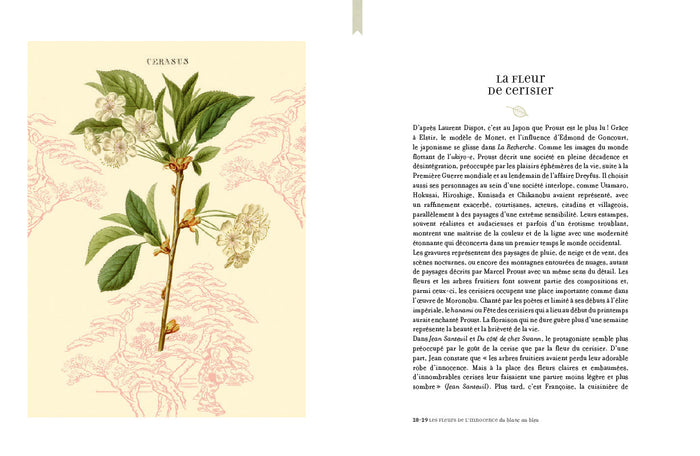 L'herbier de Marcel Proust