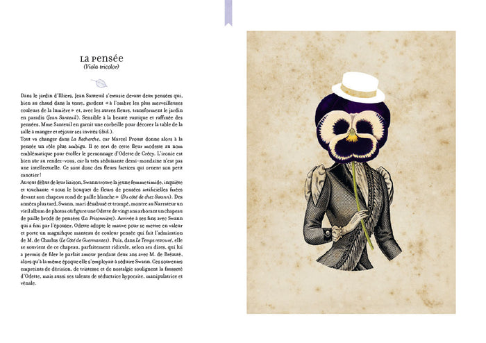 L'herbier de Marcel Proust