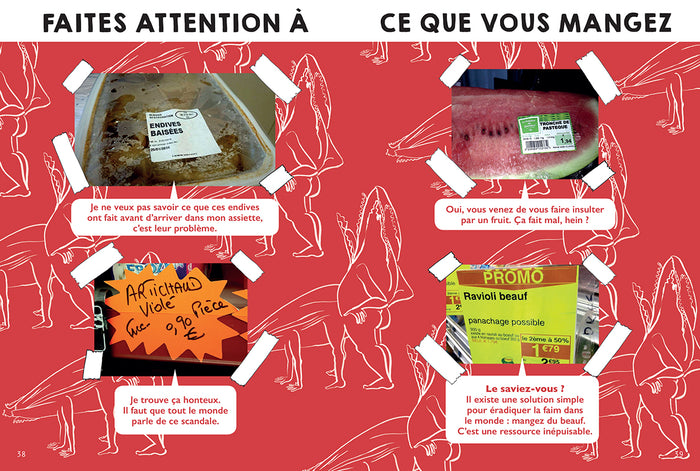 Je t'apprends le français, bordel !