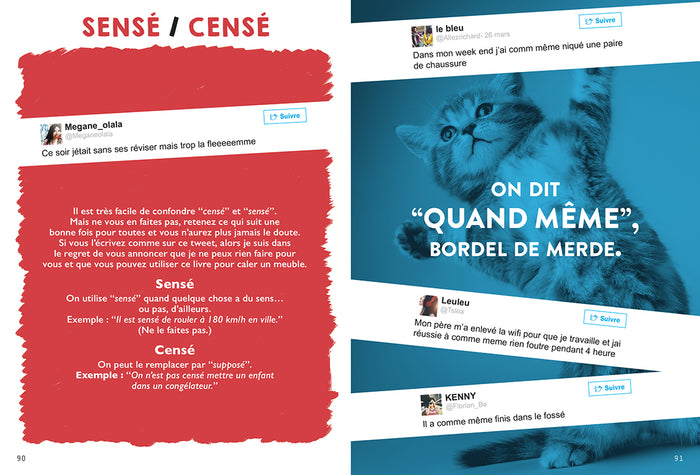 Je t'apprends le français, bordel !