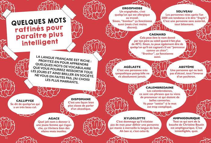 Je t'apprends le français, bordel !