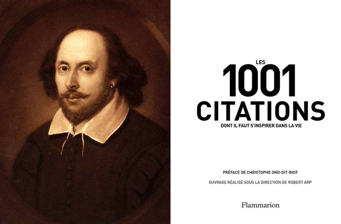 Les 1001 citations dont il faut s'inspirer dans la vie