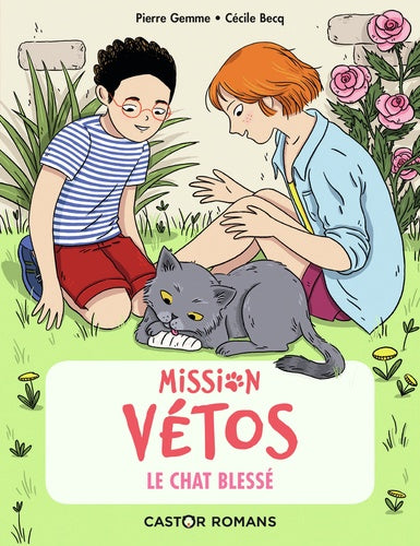 Mission vétos : Le Chat blessé