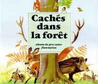 Caches dans la foret