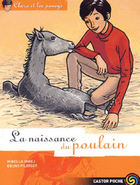 Clara et les Poneys, tome 3 : La Naissance du poulain