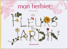 Mon herbier, les fleurs du jardin