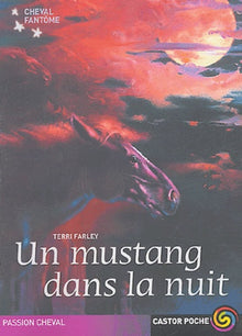 Un mustang dans la nuit
