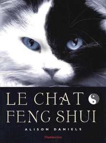 Le Chat Feng shui