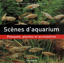 Scènes d'aquarium