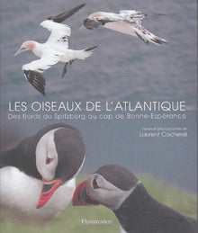 Les Oiseaux de l'atlantique : Des fjords du Spitzberg au cap de Bonne-Espérance