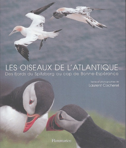 Les Oiseaux de l'atlantique : Des fjords du Spitzberg au cap de Bonne-Espérance
