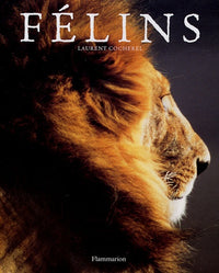 Félins