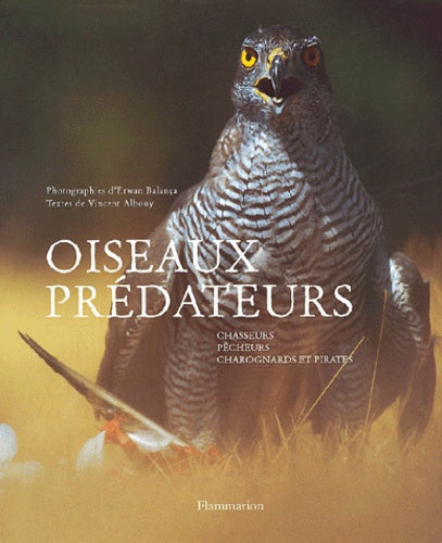 Oiseaux prédateurs, chasseurs, pêcheurs, charognards et pirates