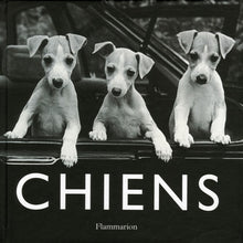 Chiens