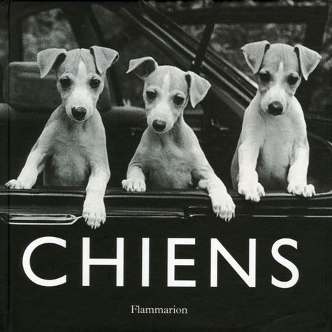 Chiens