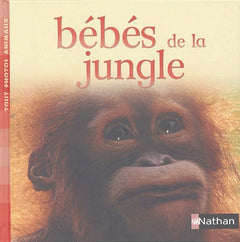 Bébés de la jungle