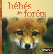 Bébés des forêts